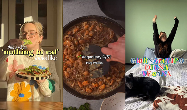 Fonte: profili TikTok di @ellysplate, @vegan_high_protein, @ginger_bites_